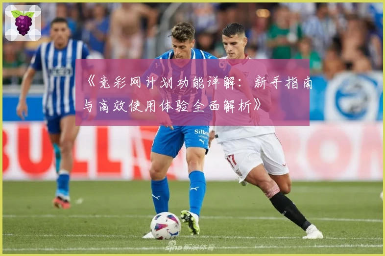 《竞彩网计划功能详解：新手指南与高效使用体验全面解析》