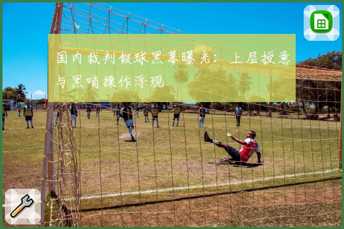 国内裁判假球黑幕曝光：上层授意与黑哨操作浮现