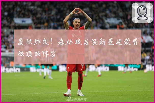 夏联炸裂!森林狼后场新星逆袭晋级顶级阵容
