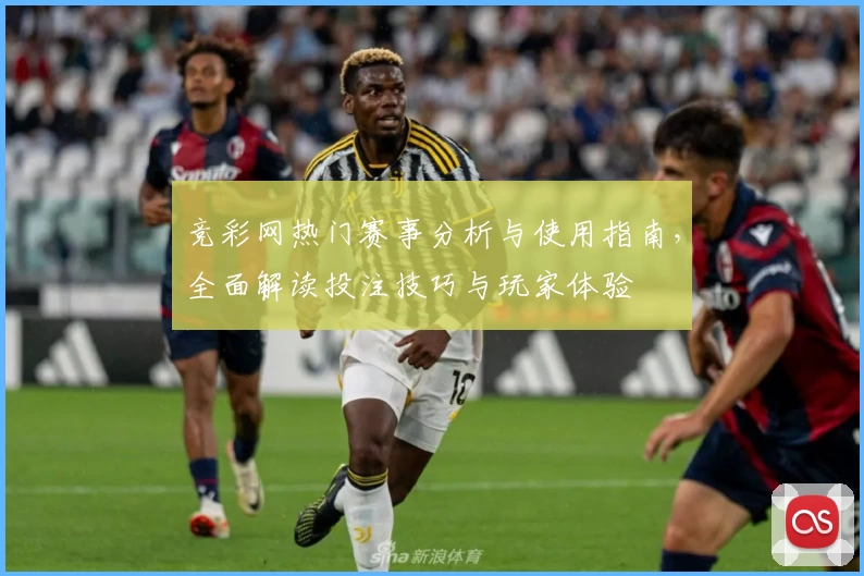 竞彩网热门赛事分析与使用指南，全面解读投注技巧与玩家体验