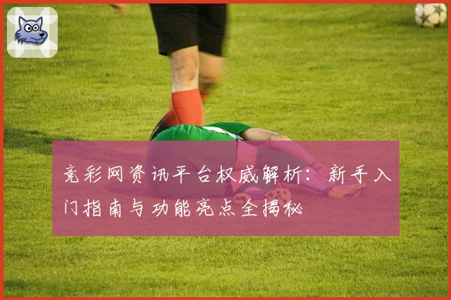 竞彩网资讯平台权威解析：新手入门指南与功能亮点全揭秘